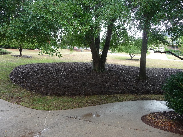 Compost n Mulch 032 Large Web view.jpg
